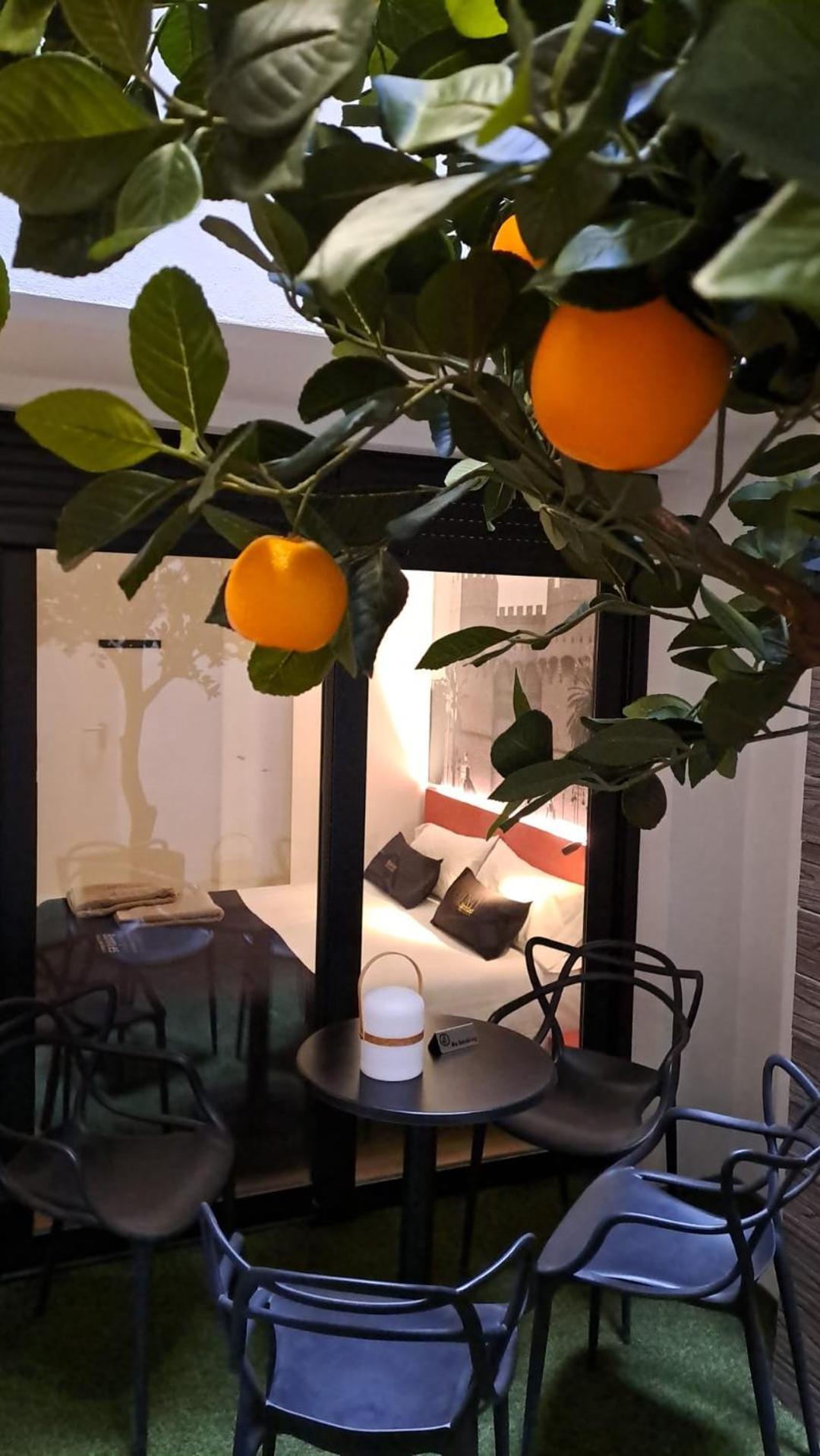 Bonnies Suites & Spa バレンシア エクステリア 写真